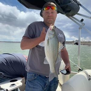 Meet your Posher, Eddie